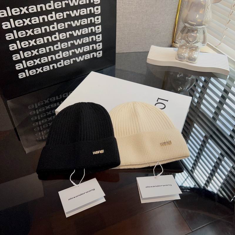 Alexander Wang hat 54 (9)